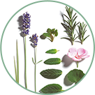 Huiles essentielles bio