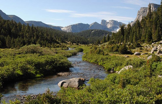 States of Minnesota, Montana, Wyoming and Washington