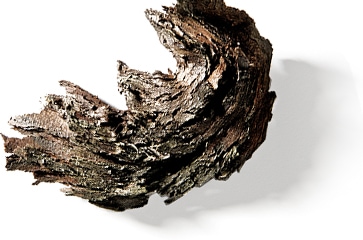 Resveratrol